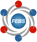 Federation of European  Biochemical Societies